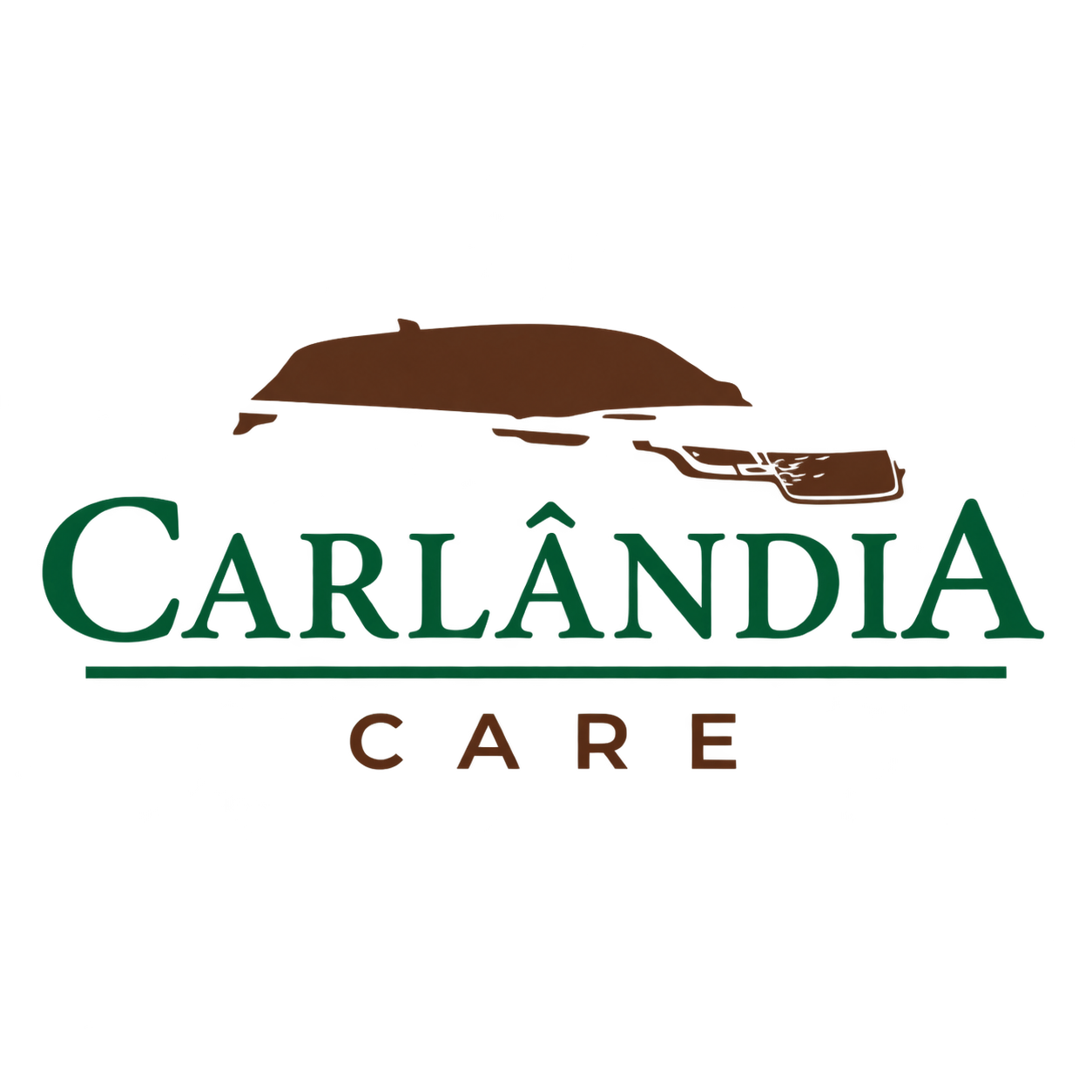 Carlândia Care